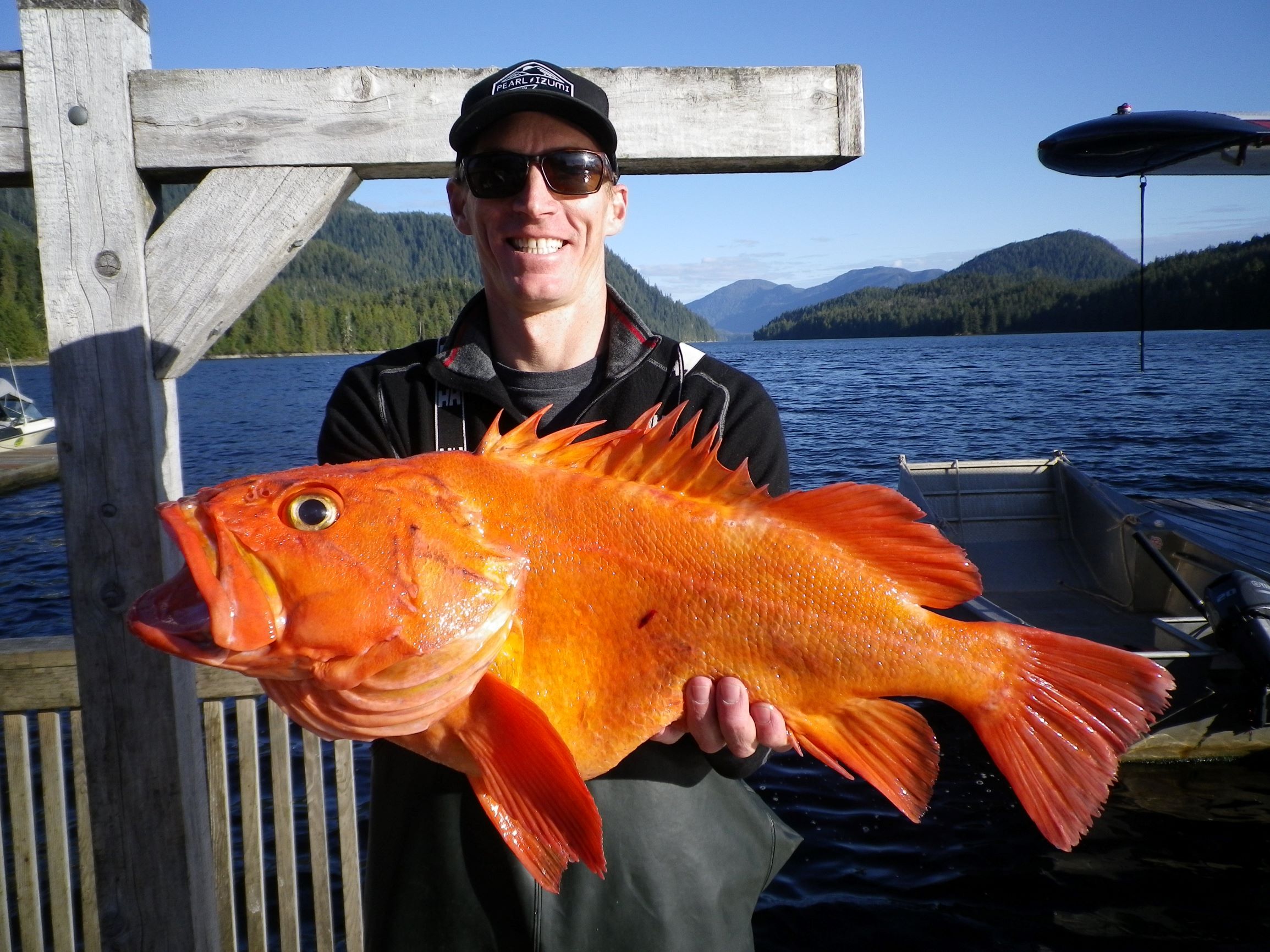 A fisherman standing on the end of a dock, holding up a Yellow eye Rock fish.